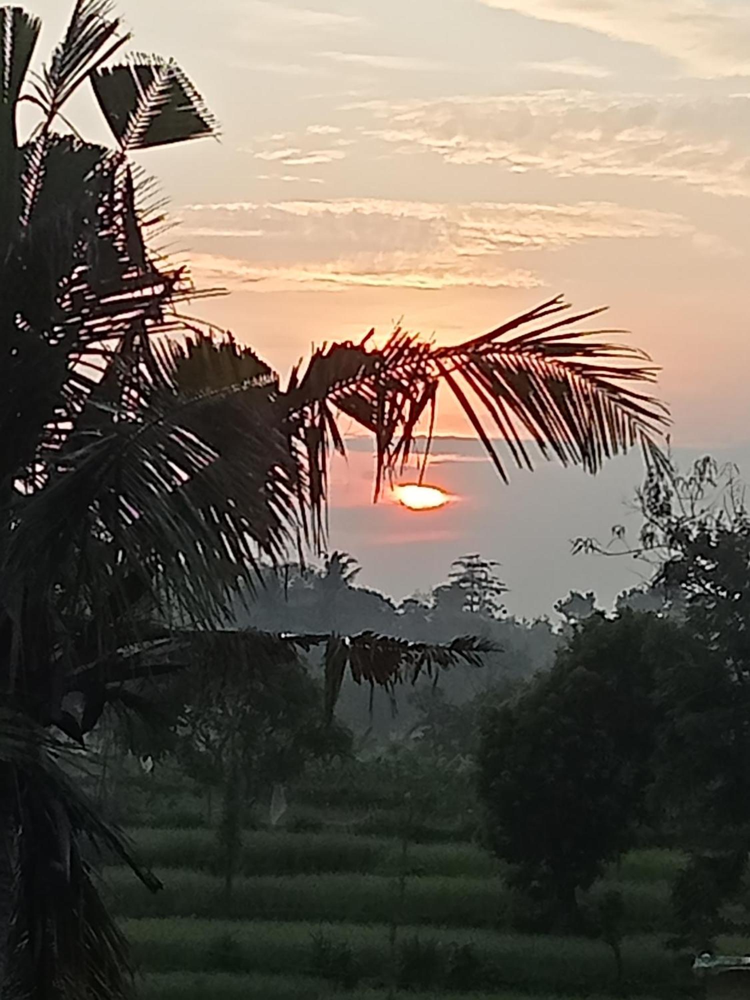Bulan Homestay Plambi Exterior foto
